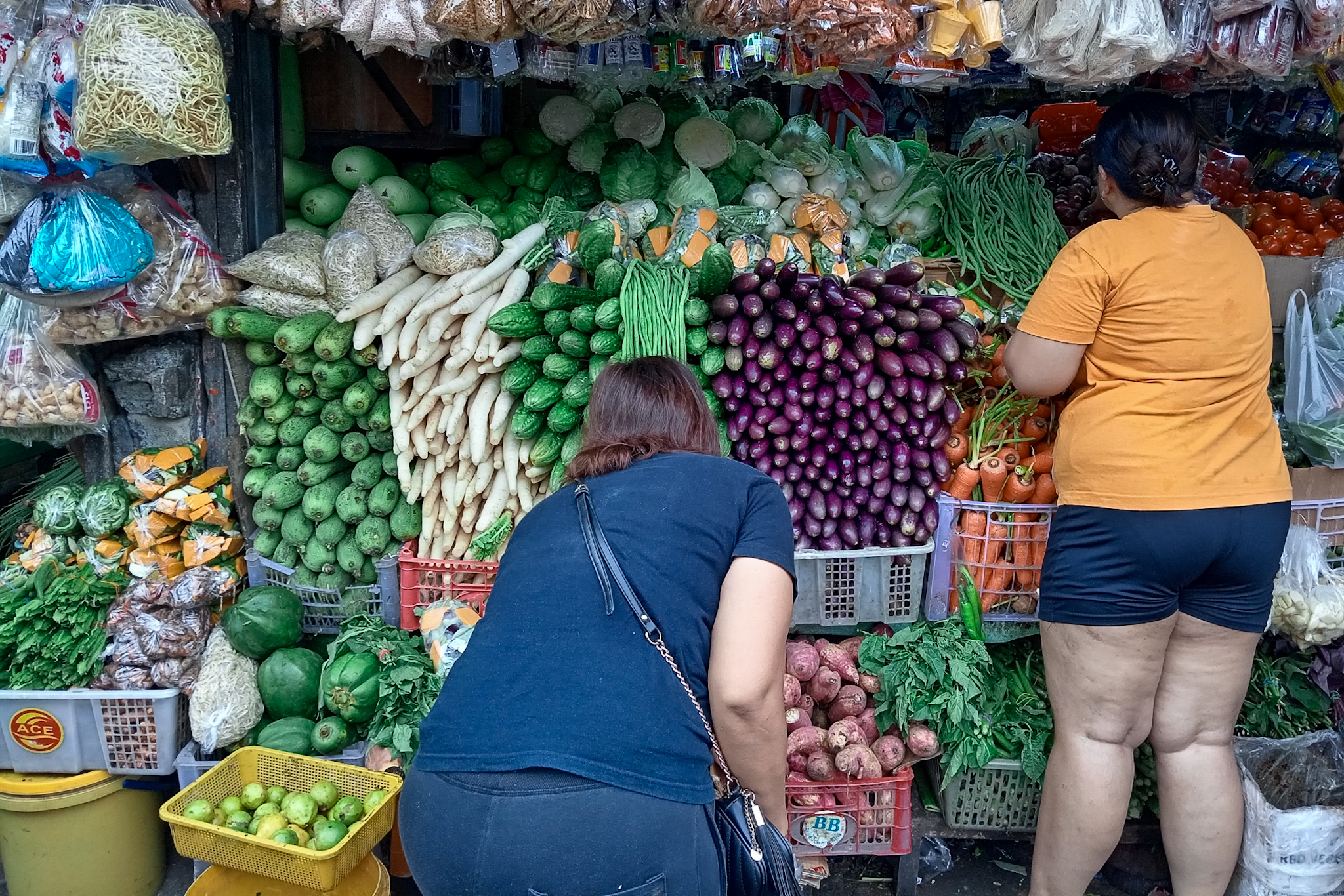 E. coli Found In Urban Farm Produce