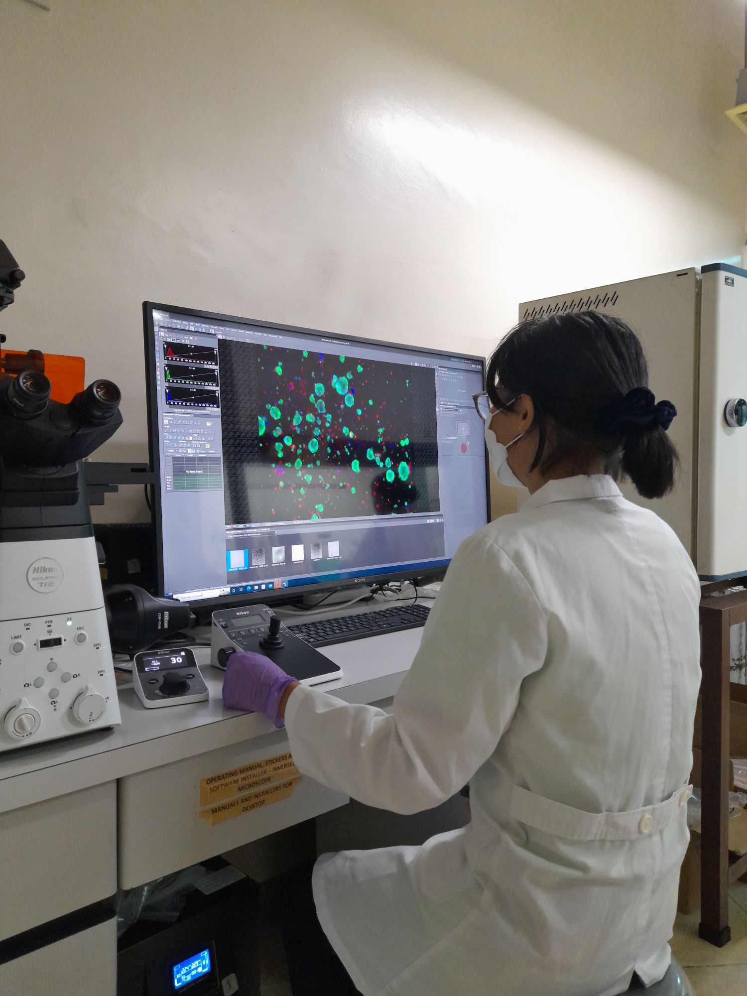 Math to Detect Early Signs of Breast Cancer