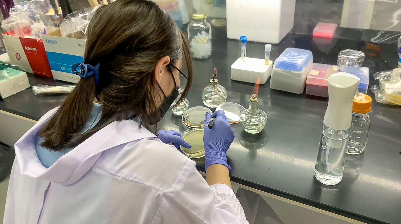 Talk about Genes Regards Regulatory Hurdles