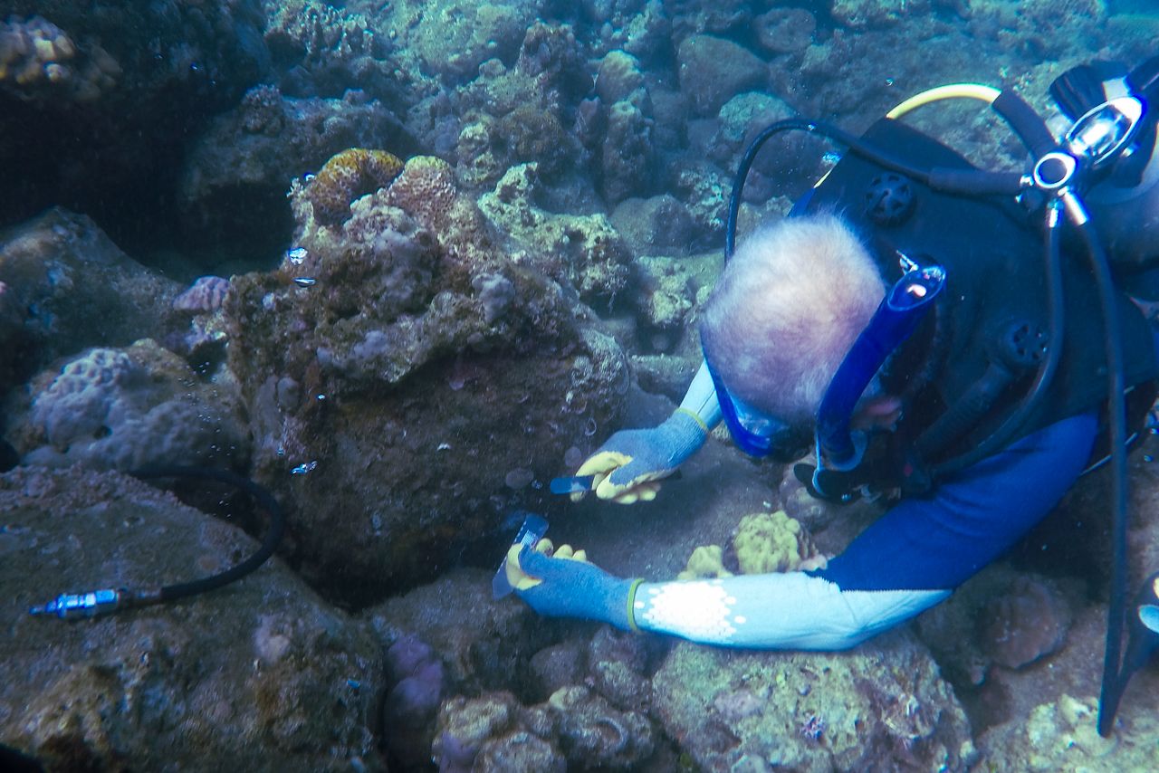 Filipino Scientists Uncover Hidden Ocean Treasures