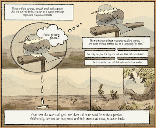 Bird Perches and Poop to the Rescue: Low cost of Reforestation